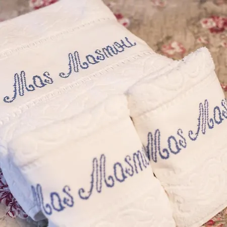 Mas Masnou Landhaus Olot